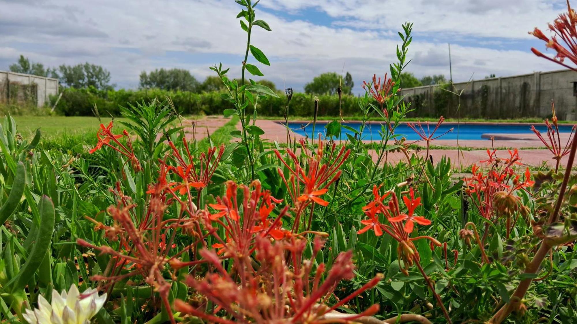 Encantador Loft, Entre Vinas, Valles Y Piscina Privada * Santa Cruz