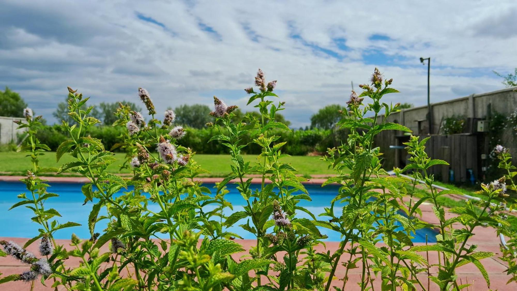 Encantador Loft, Entre Vinas, Valles Y Piscina Privada Santa Cruz