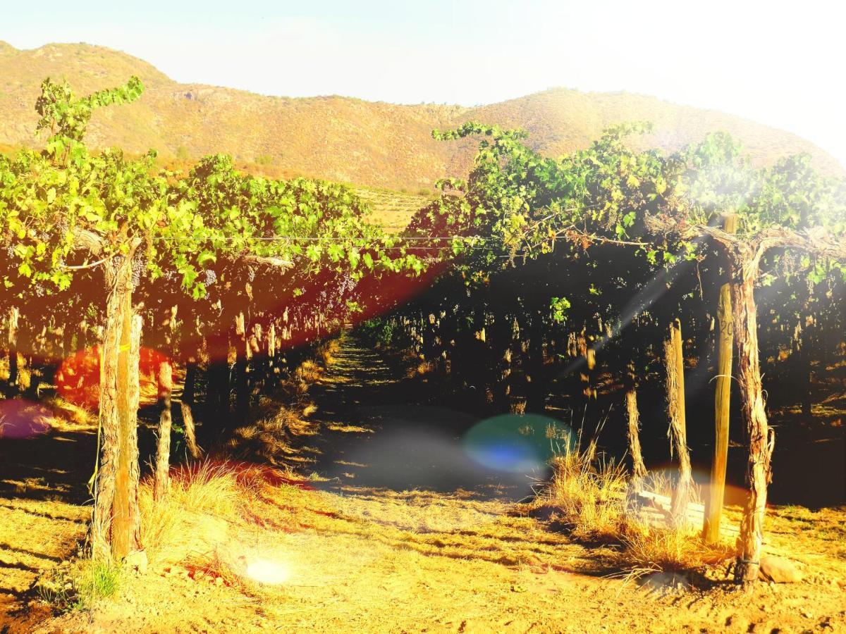 Encantador Loft, Entre Vinas, Valles Y Piscina Privada